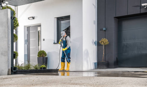 Best Gutter Cleaning  in Ack, NY